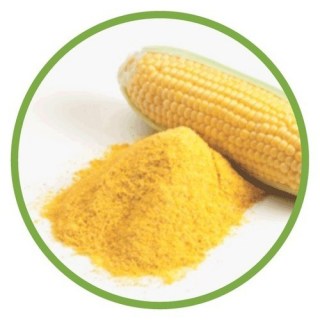 CORN1