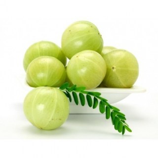 VEMB041